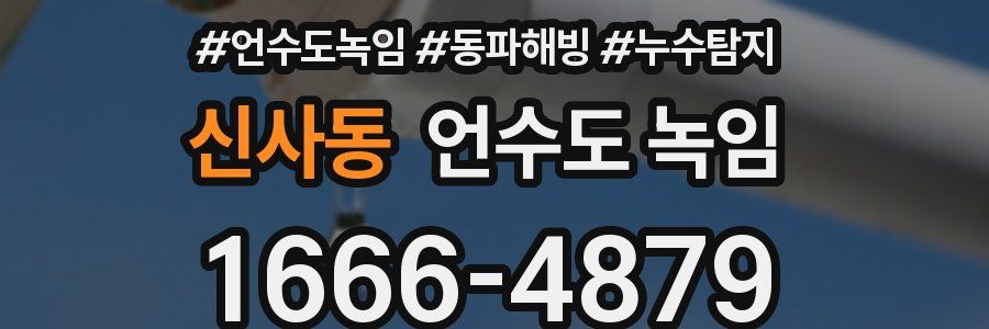 신사동 언수도 녹임