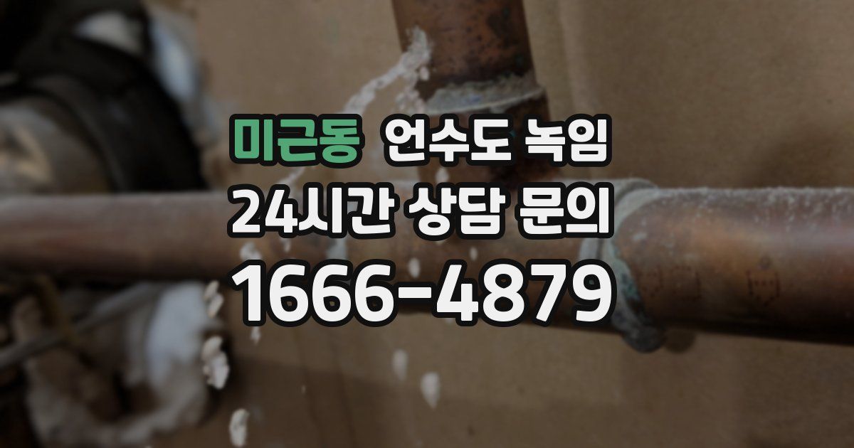 미근동 언수도 녹임