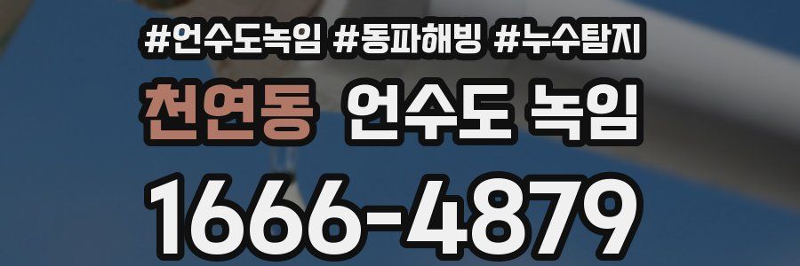 천연동 언수도 녹임