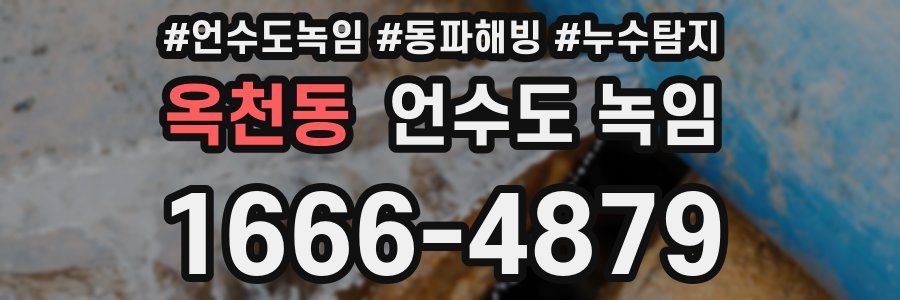 옥천동 언수도 녹임