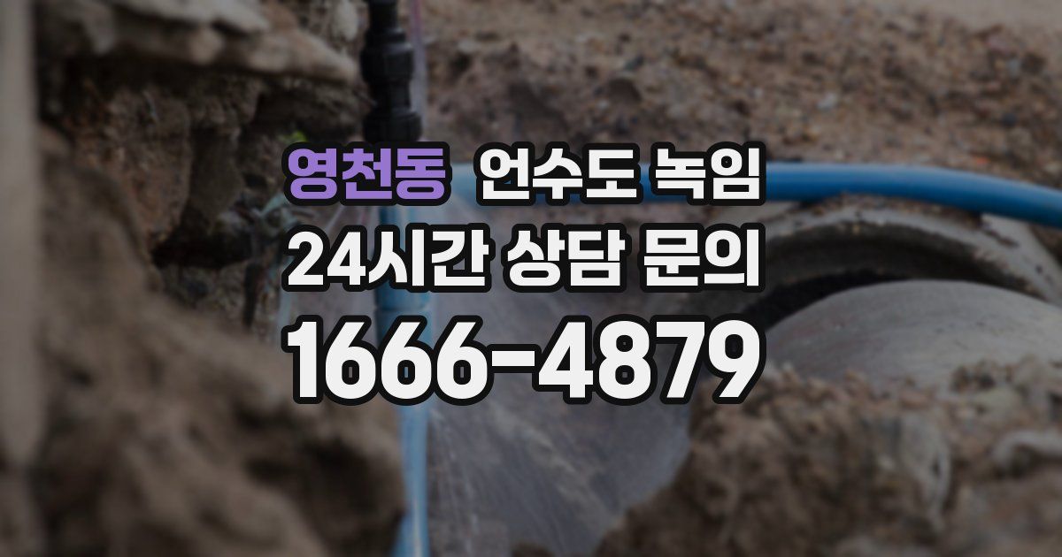 영천동 언수도 녹임