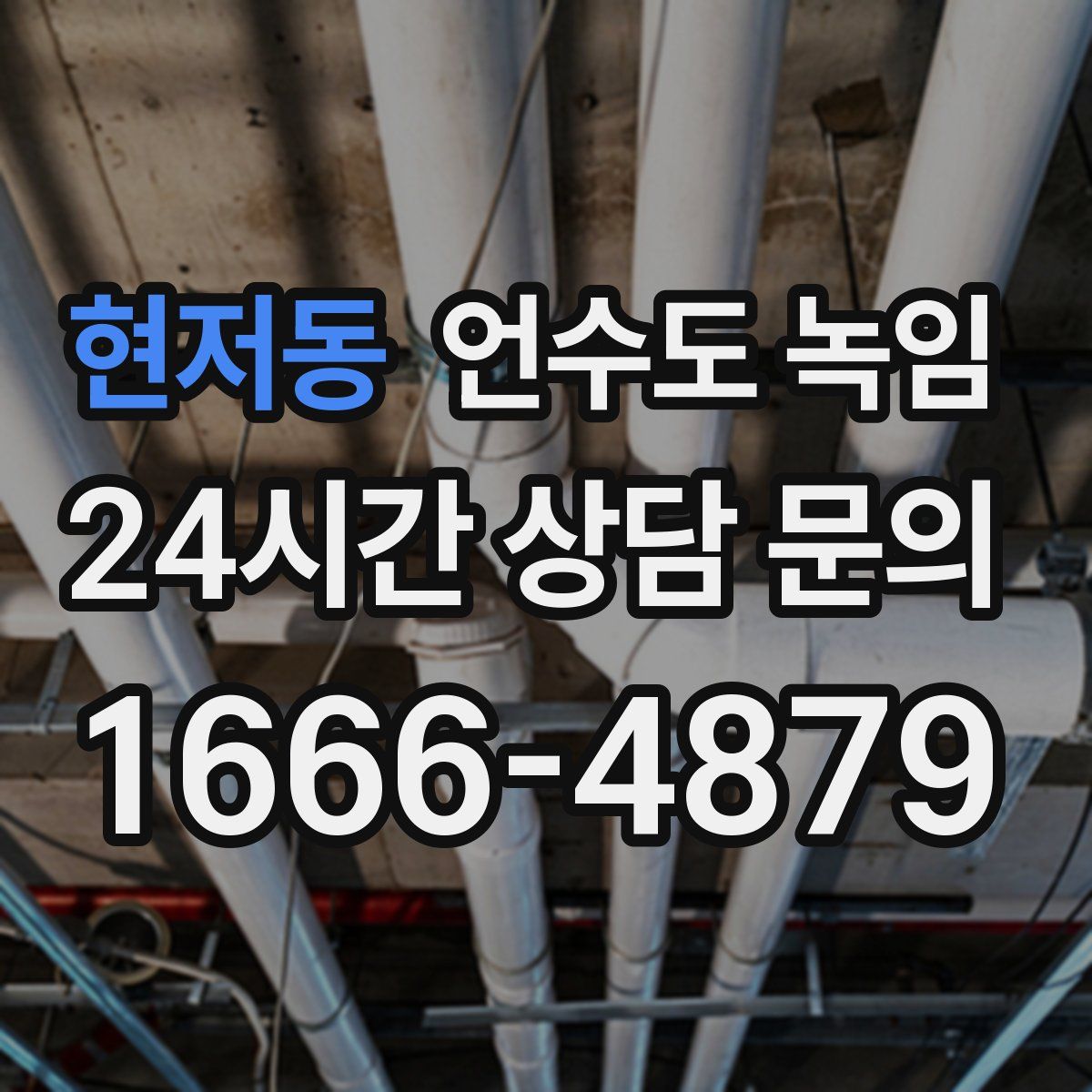 현저동 언수도 녹임