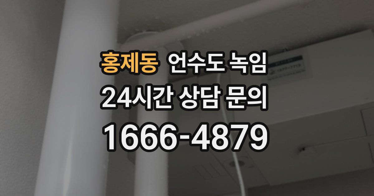 홍제동 언수도 녹임