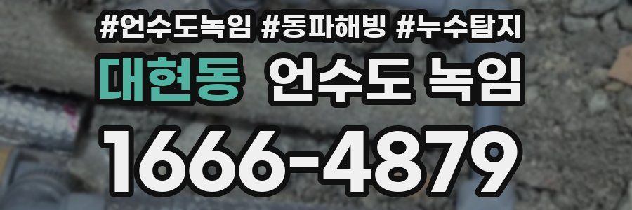 대현동 언수도 녹임