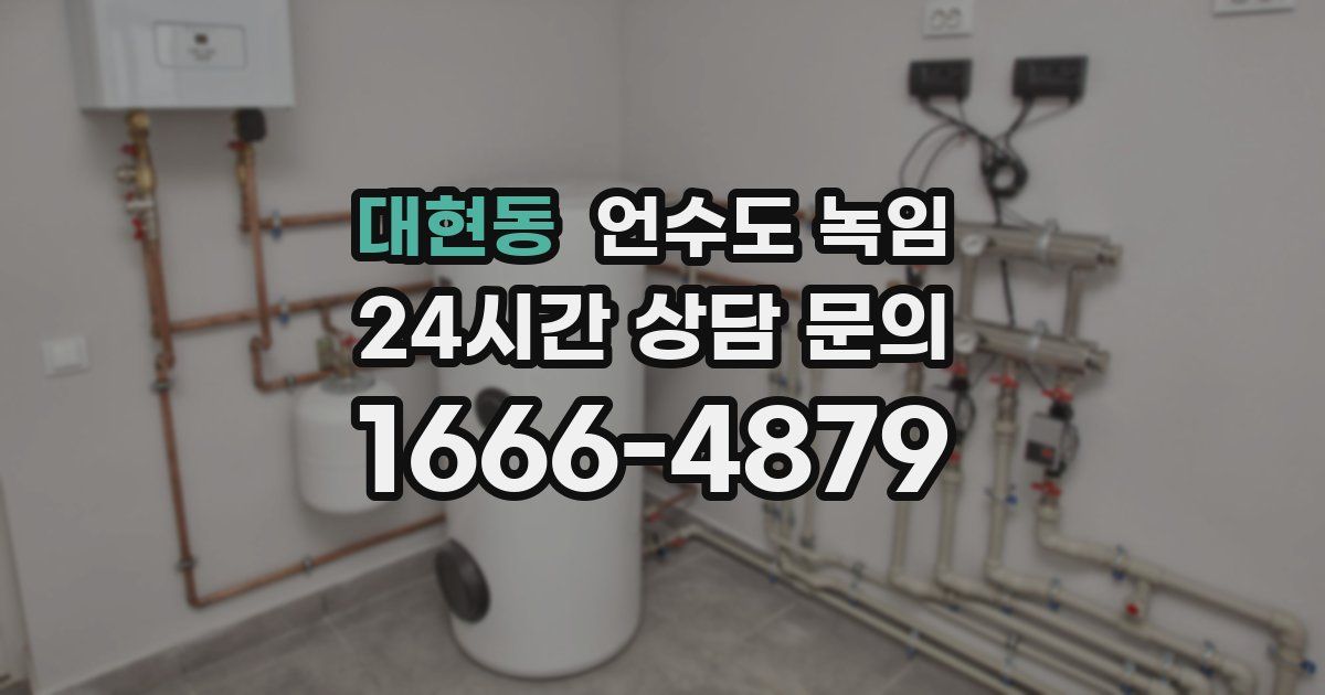 대현동 언수도 녹임