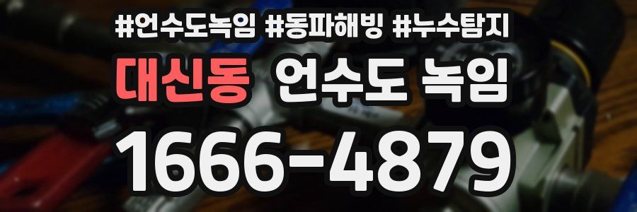대신동 언수도 녹임