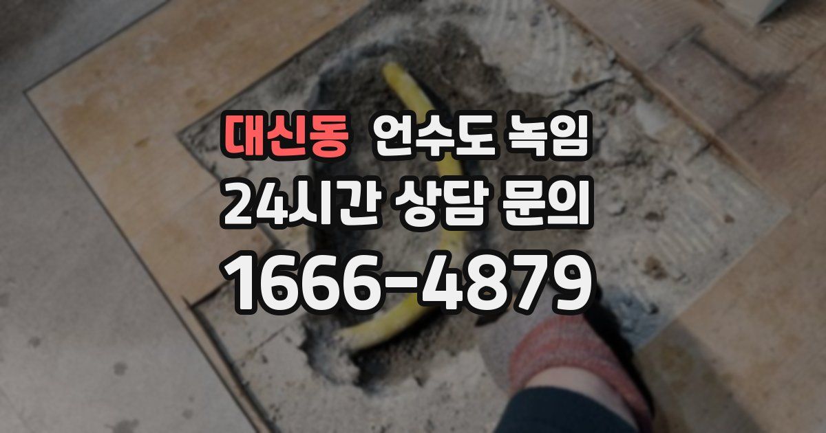 대신동 언수도 녹임