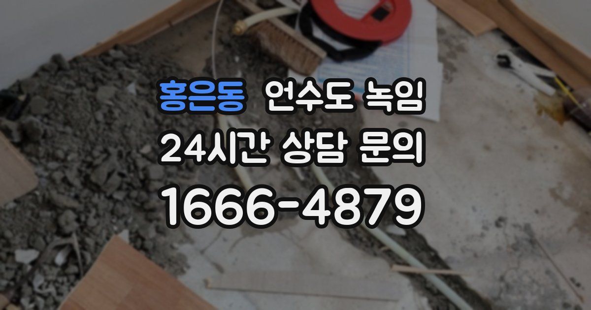 홍은동 언수도 녹임