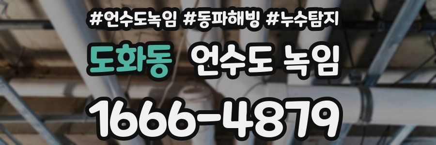 도화동 언수도 녹임