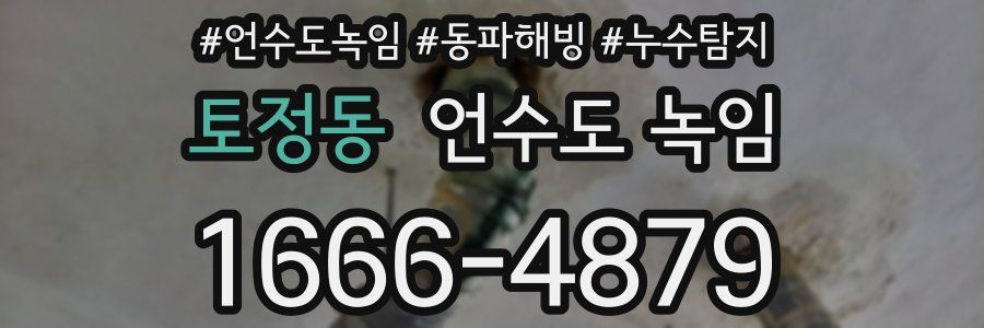 토정동 언수도 녹임