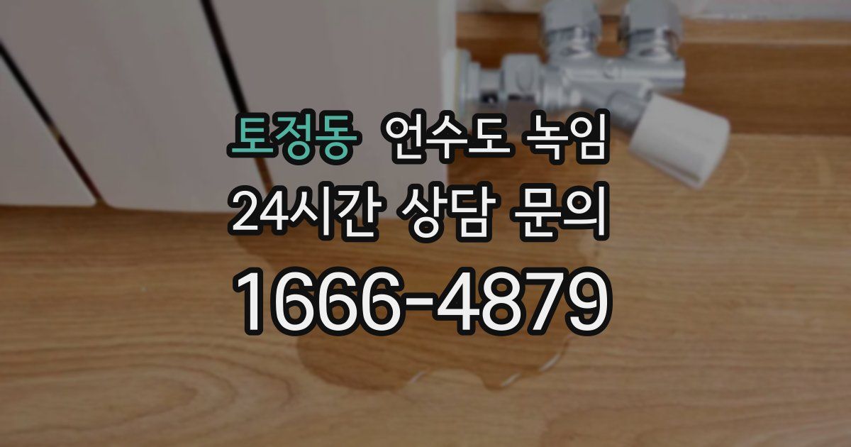 토정동 언수도 녹임