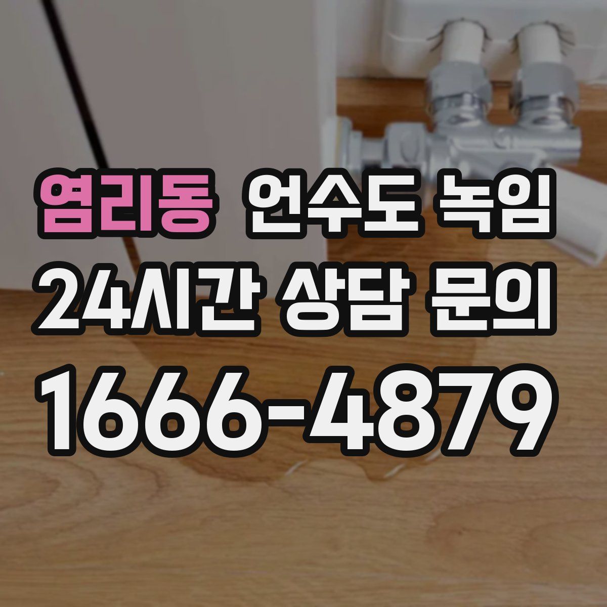 염리동 언수도 녹임