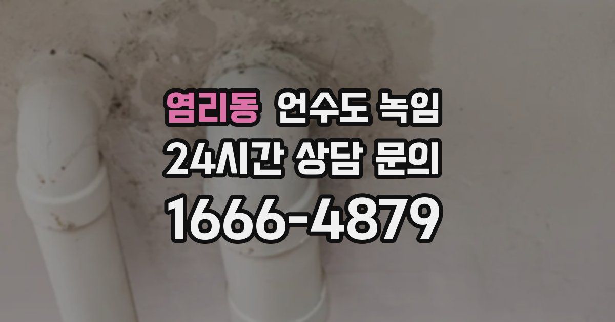 염리동 언수도 녹임