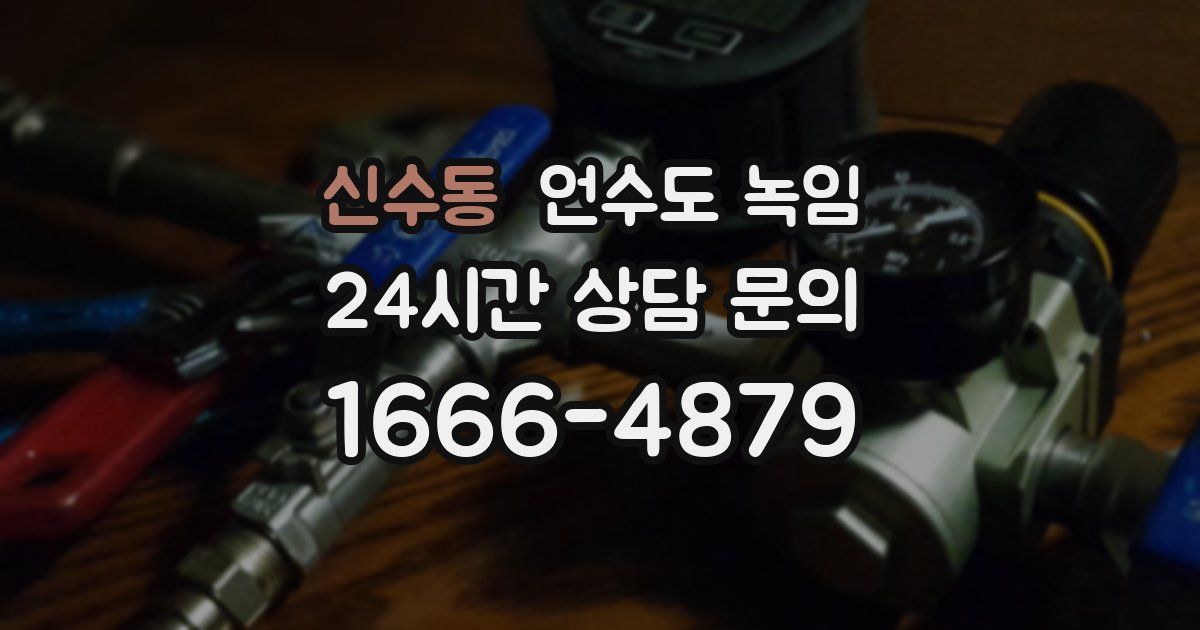 신수동 언수도 녹임