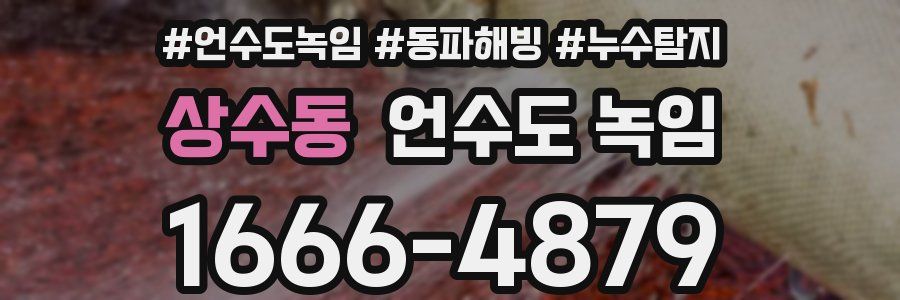 상수동 언수도 녹임