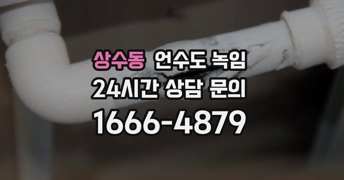 상수동 언수도 녹임