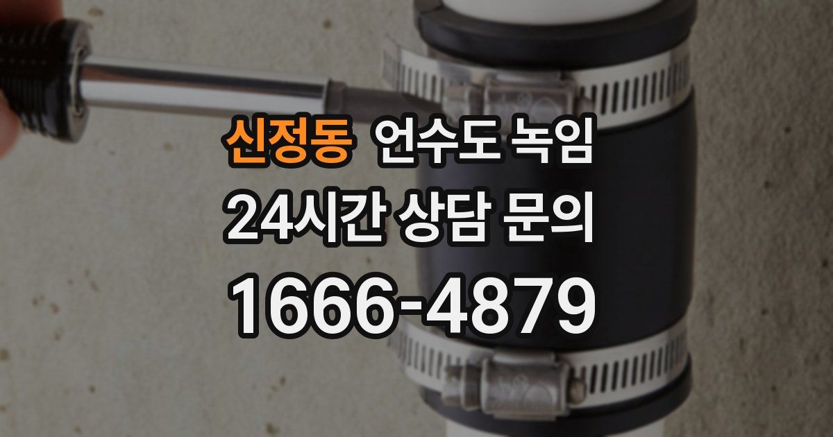 신정동 언수도 녹임