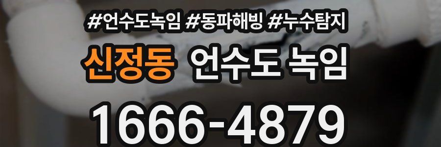 신정동 언수도 녹임