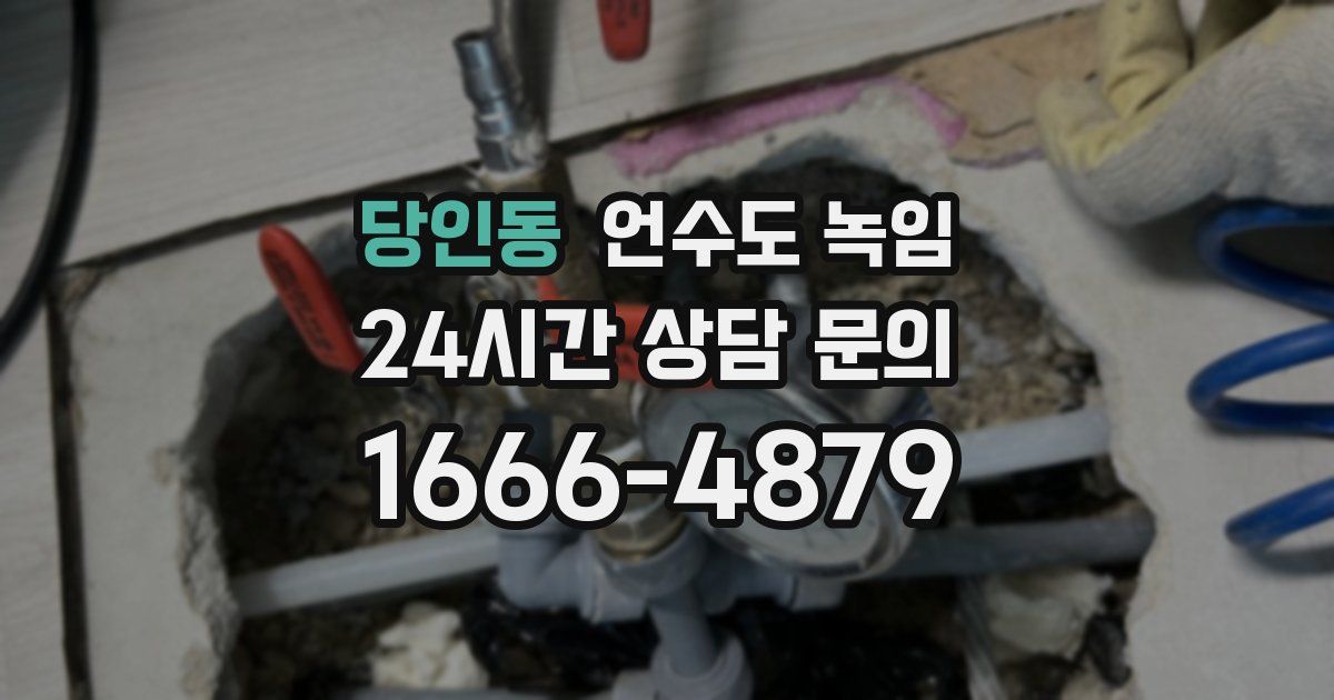당인동 언수도 녹임