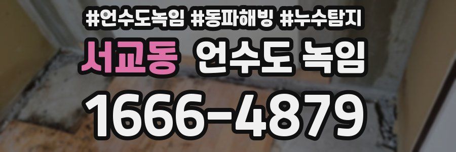 서교동 언수도 녹임