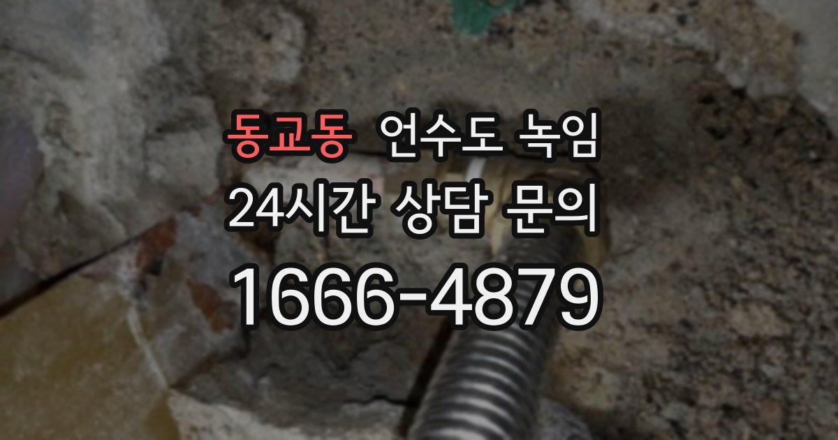 동교동 언수도 녹임