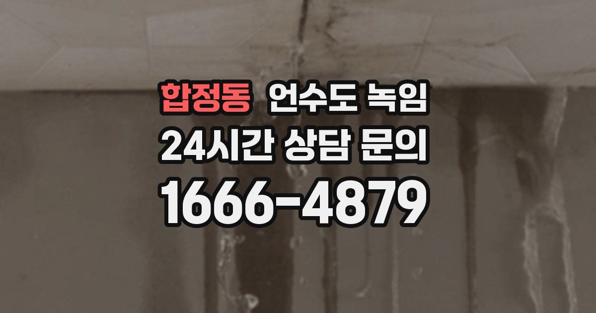 합정동 언수도 녹임