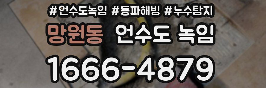 망원동 언수도 녹임