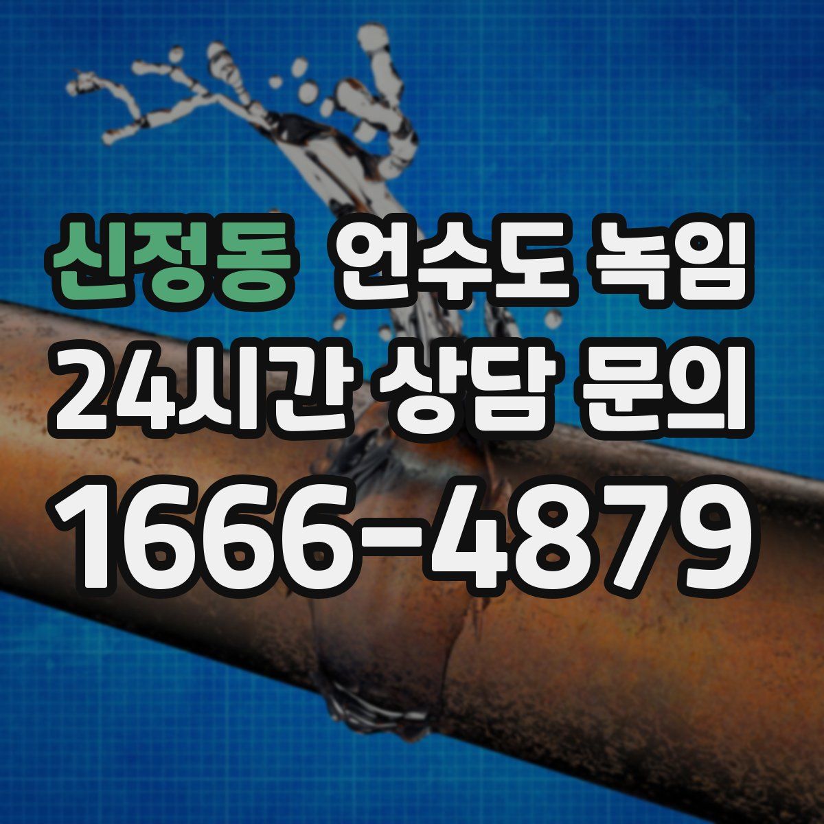 신정동 언수도 녹임