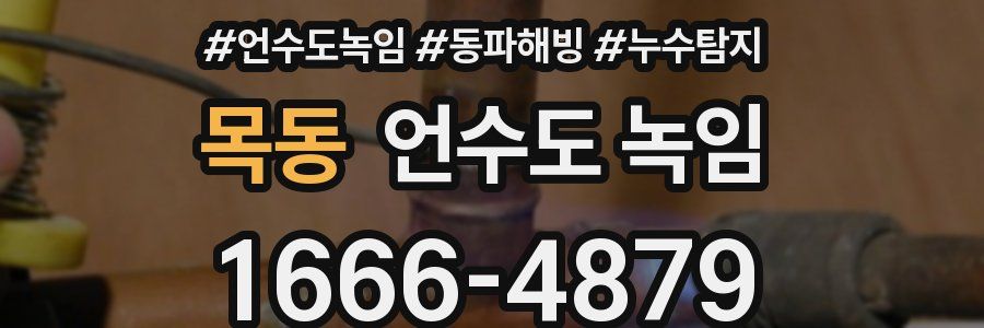 목동 언수도 녹임