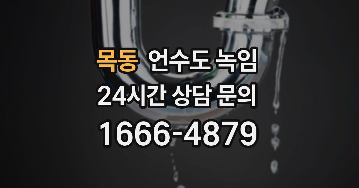 목동 언수도 녹임