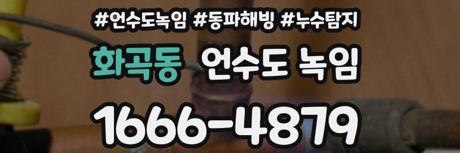 화곡동 언수도 녹임