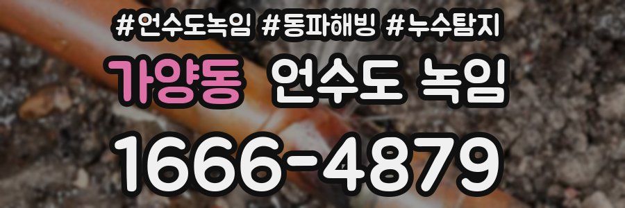 가양동 언수도 녹임