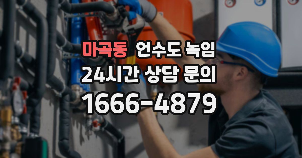 마곡동 언수도 녹임