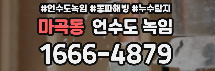 마곡동 언수도 녹임