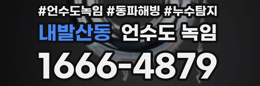 내발산동 언수도 녹임