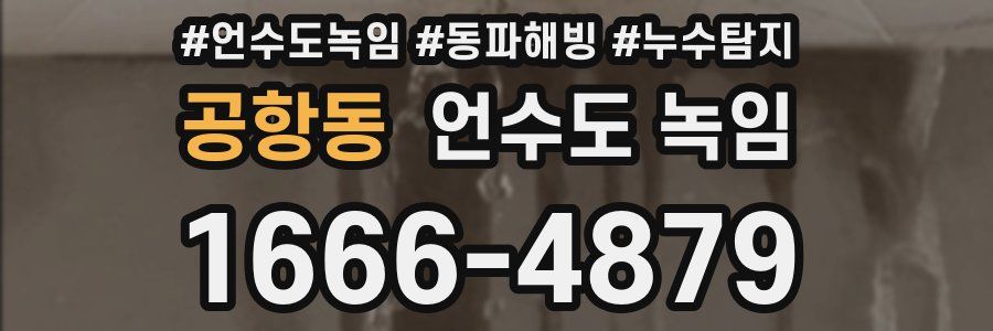 공항동 언수도 녹임