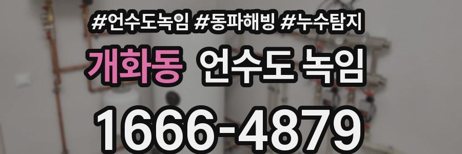 개화동 언수도 녹임