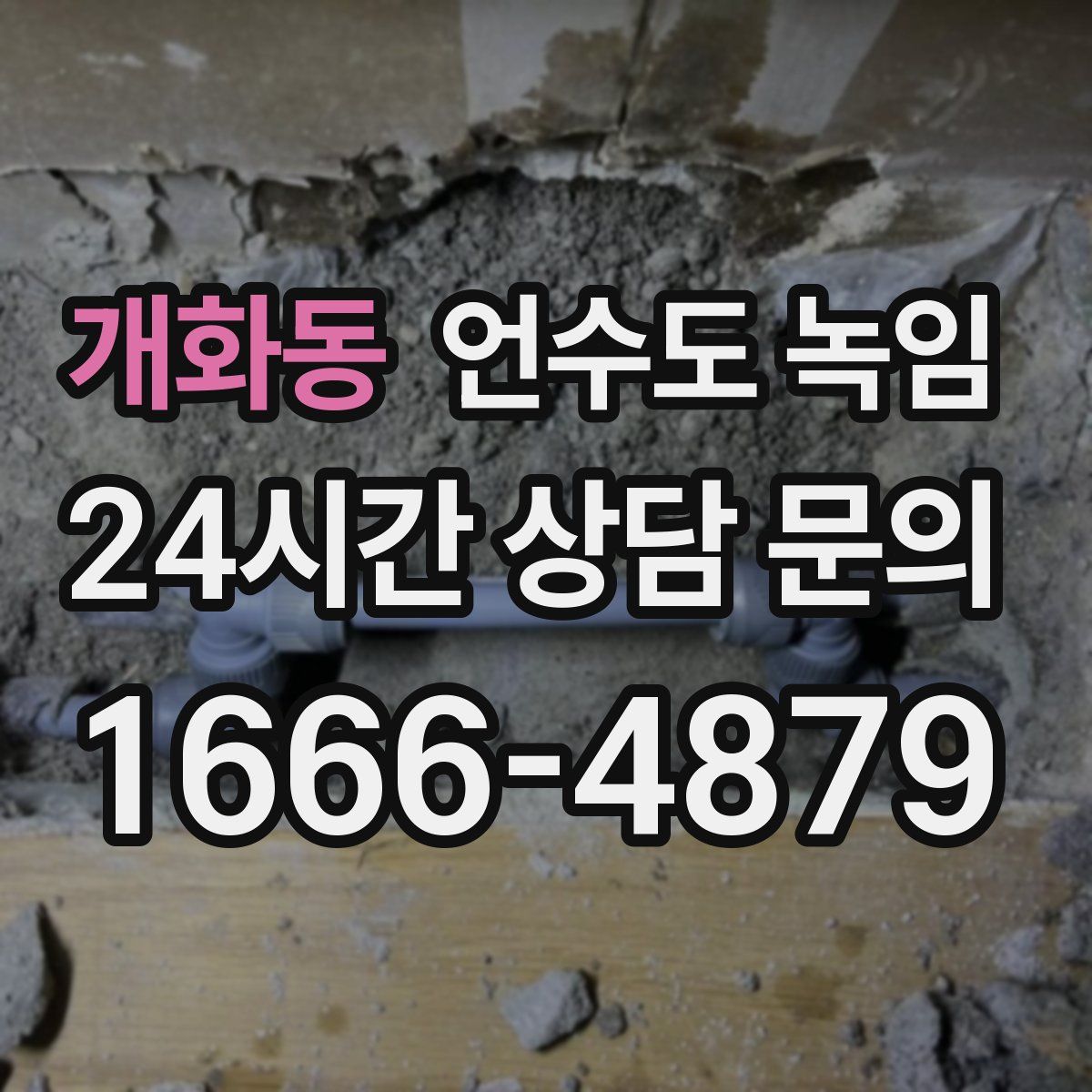 개화동 언수도 녹임