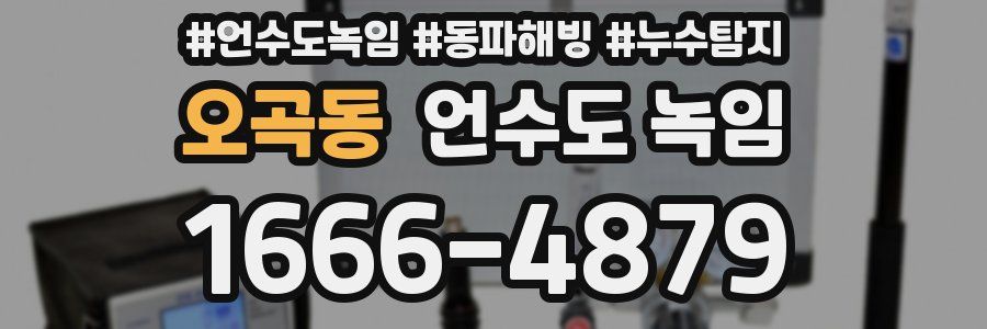 오곡동 언수도 녹임