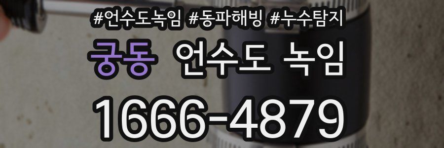 궁동 언수도 녹임