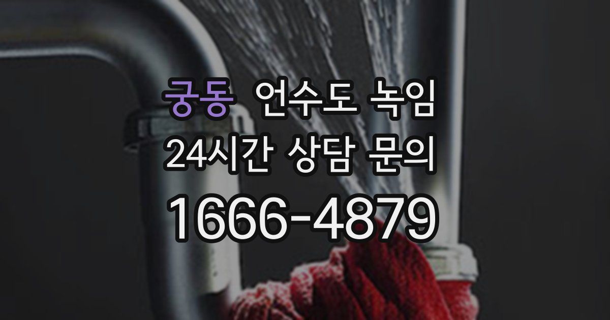 궁동 언수도 녹임