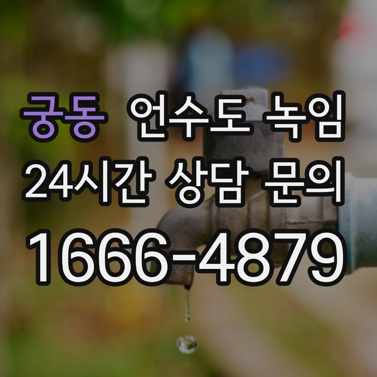 궁동 언수도 녹임