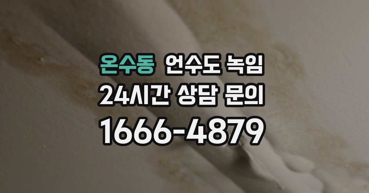 온수동 언수도 녹임