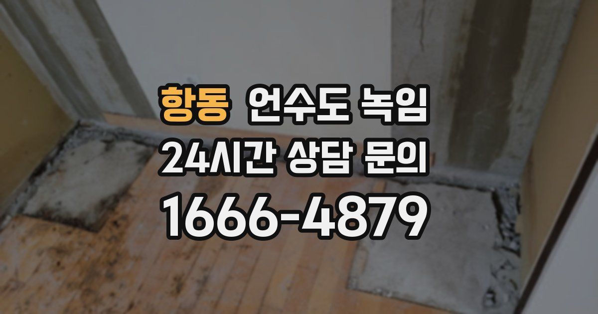 항동 언수도 녹임