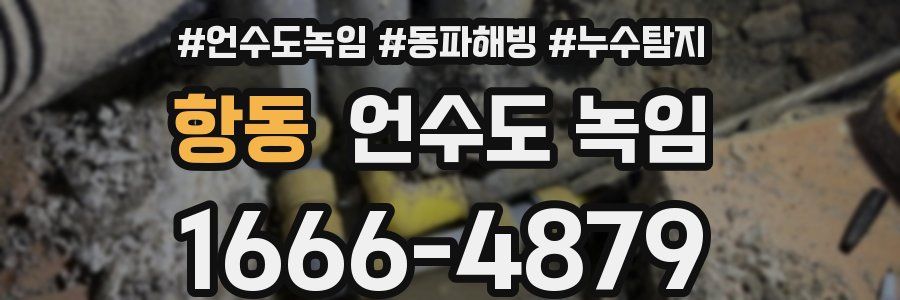 항동 언수도 녹임