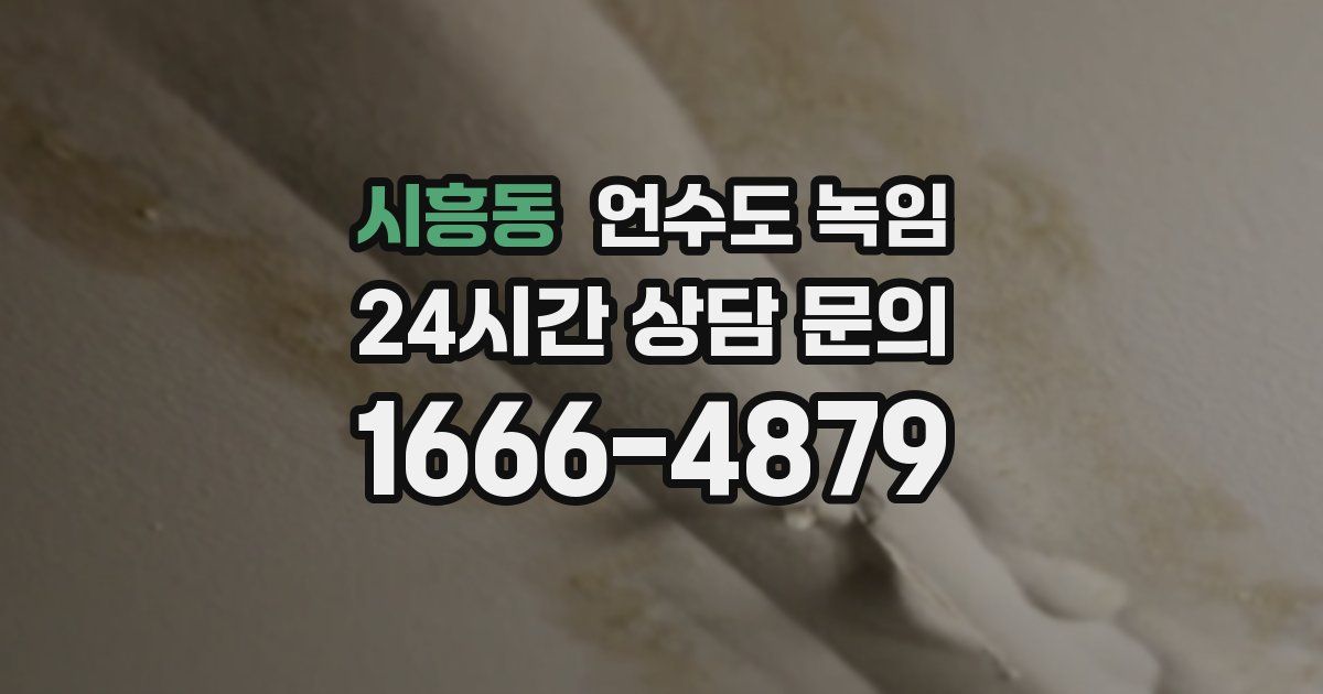 시흥동 언수도 녹임