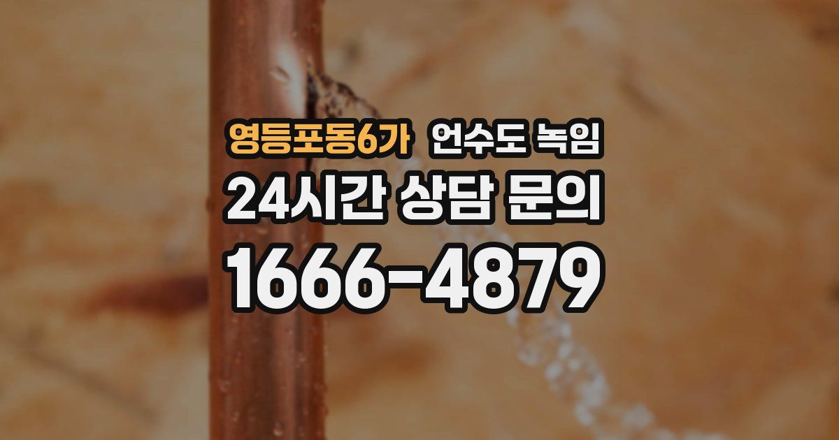 영등포동6가 언수도 녹임