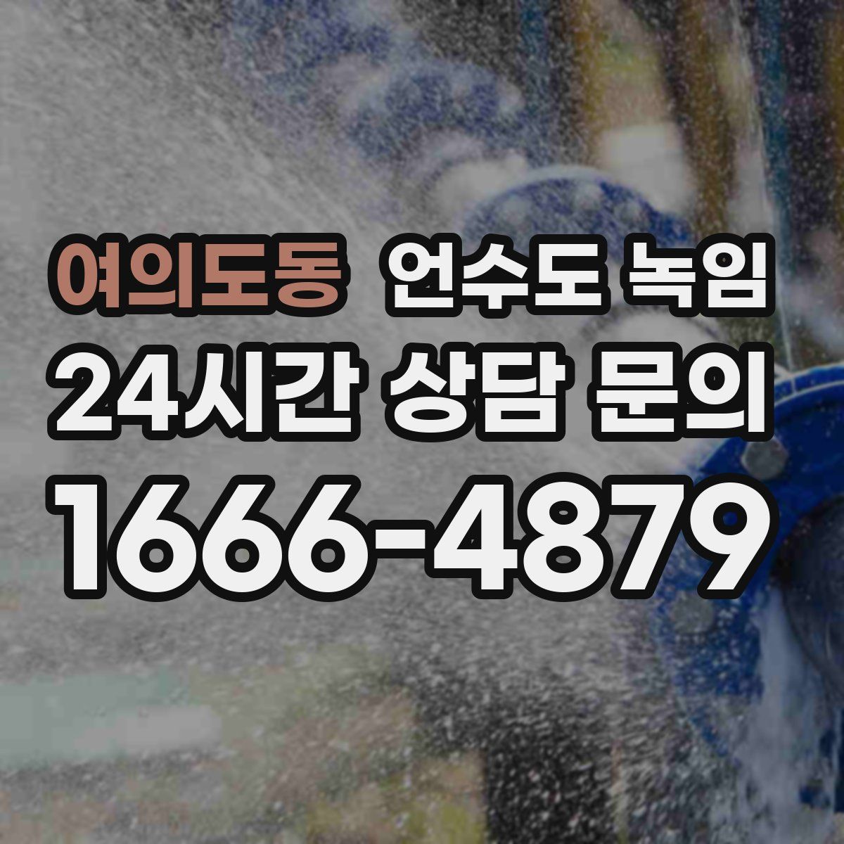 여의도동 언수도 녹임