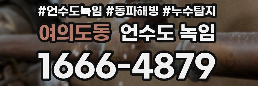 여의도동 언수도 녹임