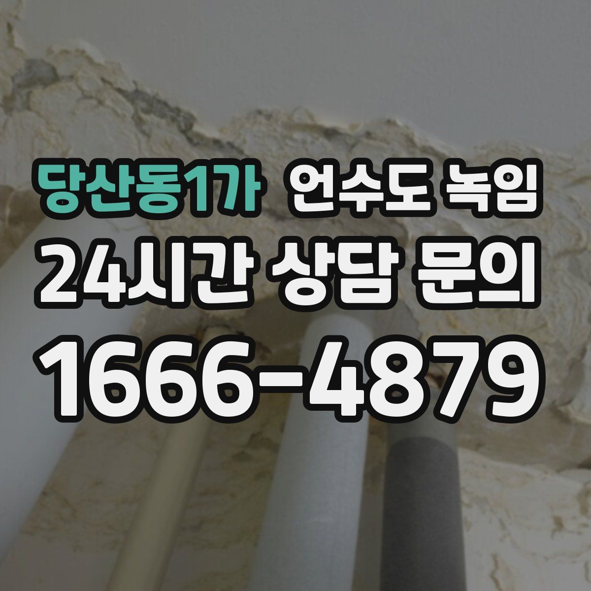 당산동1가 언수도 녹임